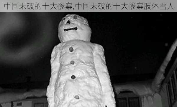 中国未破的十大惨案,中国未破的十大惨案肢体雪人-第2张图片-阳光出游网