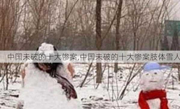 中国未破的十大惨案,中国未破的十大惨案肢体雪人-第3张图片-阳光出游网