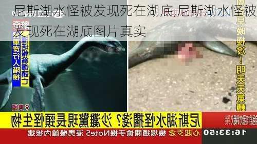 尼斯湖水怪被发现死在湖底,尼斯湖水怪被发现死在湖底图片真实-第3张图片-阳光出游网