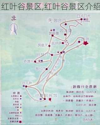 红叶谷景区,红叶谷景区介绍-第1张图片-阳光出游网