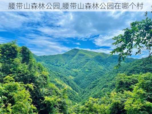 腰带山森林公园,腰带山森林公园在哪个村