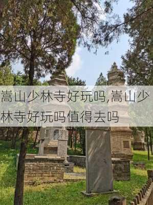 嵩山少林寺好玩吗,嵩山少林寺好玩吗值得去吗-第3张图片-阳光出游网