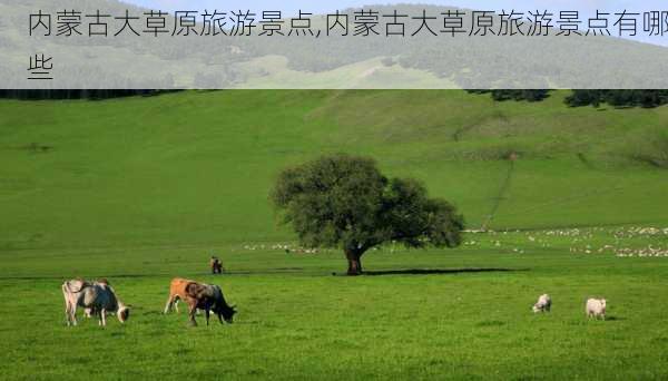 内蒙古大草原旅游景点,内蒙古大草原旅游景点有哪些-第1张图片-阳光出游网