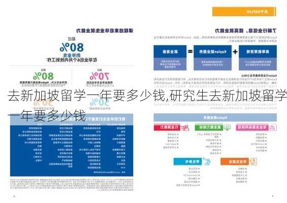 去新加坡留学一年要多少钱,研究生去新加坡留学一年要多少钱-第1张图片-阳光出游网