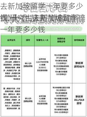 去新加坡留学一年要多少钱,研究生去新加坡留学一年要多少钱-第3张图片-阳光出游网