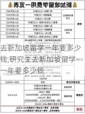 去新加坡留学一年要多少钱,研究生去新加坡留学一年要多少钱-第2张图片-阳光出游网