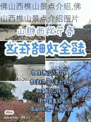 佛山西樵山景点介绍,佛山西樵山景点介绍图片-第3张图片-阳光出游网