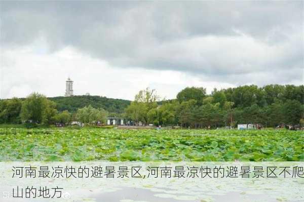 河南最凉快的避暑景区,河南最凉快的避暑景区不爬山的地方