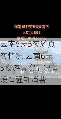 云南6天5夜游真实情况,云南6天5夜游真实情况有没有强制消费-第2张图片-阳光出游网