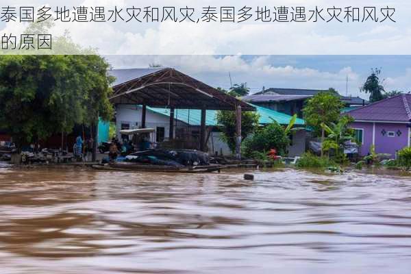 泰国多地遭遇水灾和风灾,泰国多地遭遇水灾和风灾的原因-第1张图片-阳光出游网