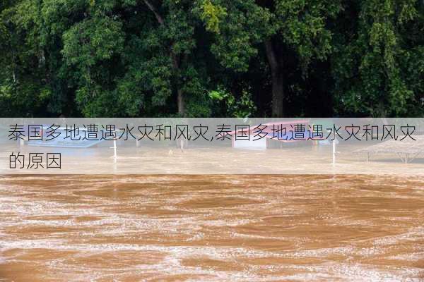 泰国多地遭遇水灾和风灾,泰国多地遭遇水灾和风灾的原因-第2张图片-阳光出游网