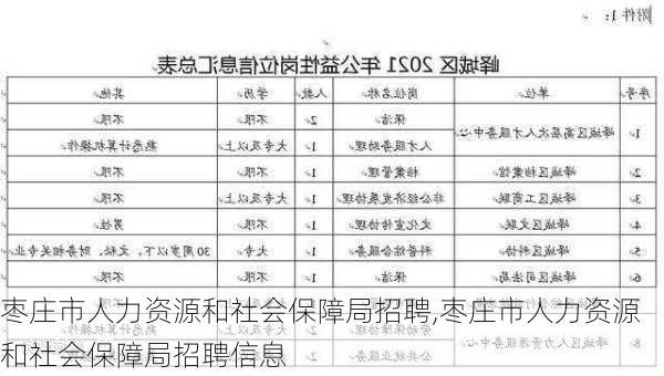 枣庄市人力资源和社会保障局招聘,枣庄市人力资源和社会保障局招聘信息-第3张图片-阳光出游网