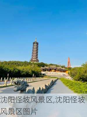 沈阳怪坡风景区,沈阳怪坡风景区图片-第1张图片-阳光出游网