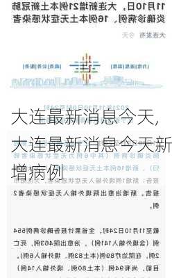 大连最新消息今天,大连最新消息今天新增病例-第2张图片-阳光出游网