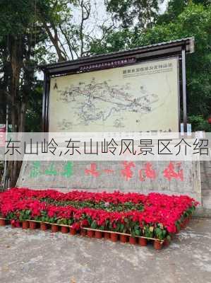 东山岭,东山岭风景区介绍-第1张图片-阳光出游网