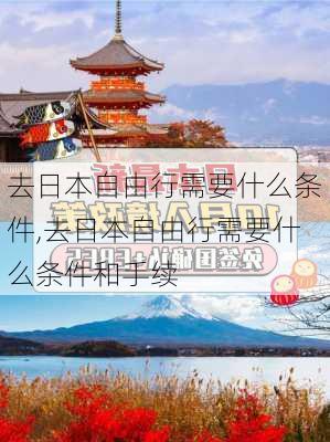 去日本自由行需要什么条件,去日本自由行需要什么条件和手续-第3张图片-阳光出游网