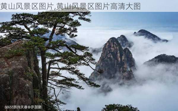 黄山风景区图片,黄山风景区图片高清大图-第2张图片-阳光出游网