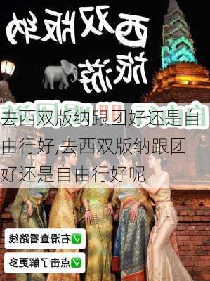 去西双版纳跟团好还是自由行好,去西双版纳跟团好还是自由行好呢-第2张图片-阳光出游网