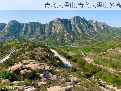 青岛大泽山,青岛大泽山多高-第1张图片-阳光出游网