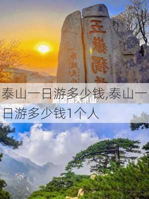 泰山一日游多少钱,泰山一日游多少钱1个人-第3张图片-阳光出游网