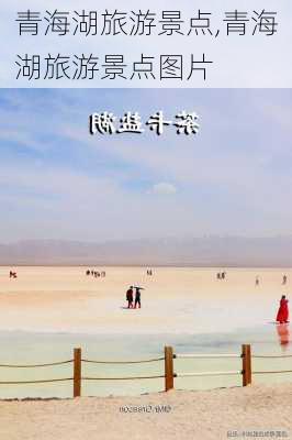 青海湖旅游景点,青海湖旅游景点图片-第3张图片-阳光出游网