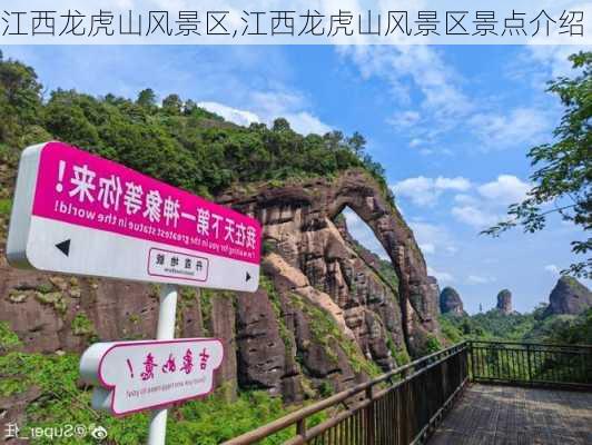 江西龙虎山风景区,江西龙虎山风景区景点介绍-第2张图片-阳光出游网