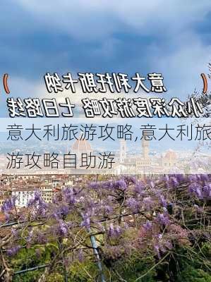 意大利旅游攻略,意大利旅游攻略自助游-第3张图片-阳光出游网