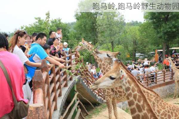 跑马岭,跑马岭野生动物园-第2张图片-阳光出游网