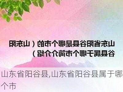 山东省阳谷县,山东省阳谷县属于哪个市-第3张图片-阳光出游网